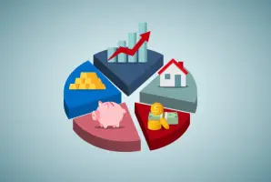 Mixed Economic System
