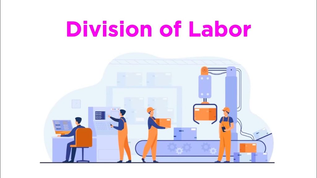Division of Labour